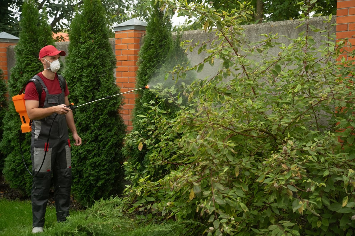 Eco-Friendly Pest Control Professional Spraying Treatment